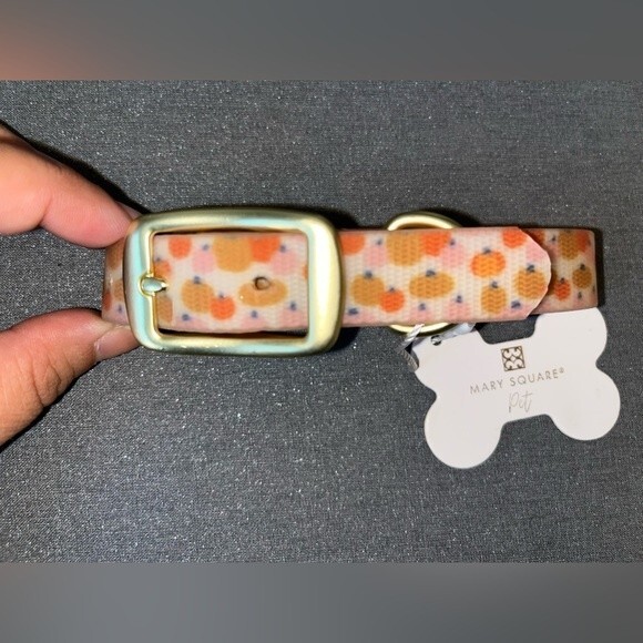 Mary Square | Hey There Pumpkin Silicone Dog Collar - Picture 2 of 3